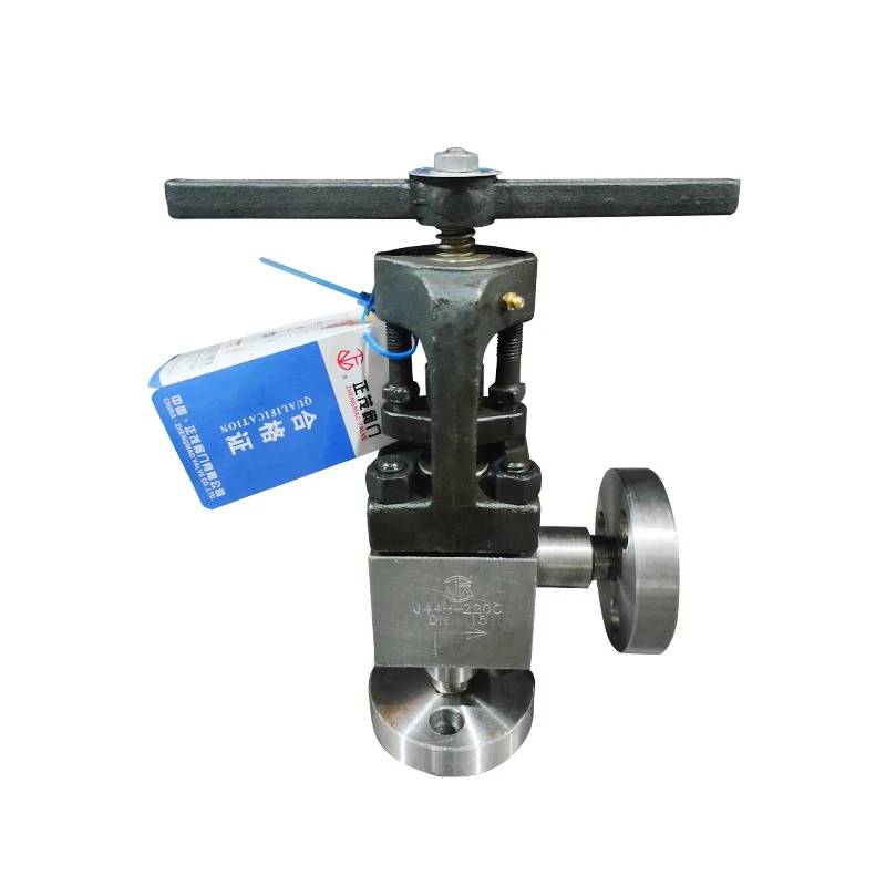 Angle Globe Valve